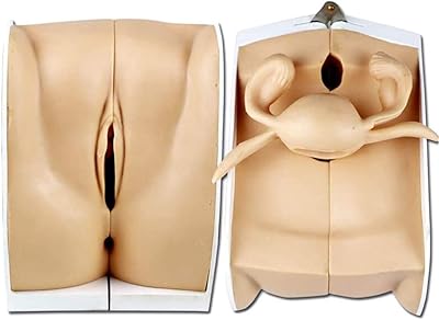 Gynecological contraception orientation model, female anatomical model, gynecology model teaching model, training model for medical practice.. Shopping made simple with DIAYTAR NIGERIA's vast selection and budget-friendly nationwide delivery.
