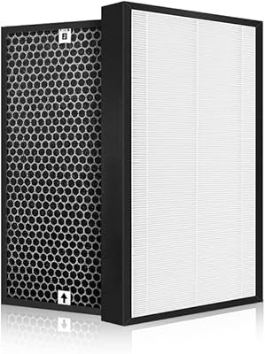 HEPA filter and replacement coal FY2422 FY2420 For Philips AC2887 AC2889 C2882 AC2878 C3824 AC3822.. Transform your online shopping experience with DIAYTAR NIGERIA's affordable and diverse marketplace.
