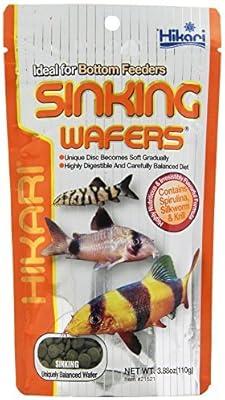 Hikari tropical flower bottles for catfish, binds and bottom feeders 3.27 oz [package of 2].. Shop smarter with DIAYTAR Nigeria — from household essentials to electronics, we have everything you need. Plus, our delivery is fast, secure, and arrives between 5 and 8 days.