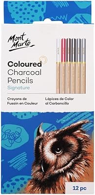 12 -piece charcoal colored pencils.. Shop local, shop fast — DIAYTAR Nigeria delivers across the country.