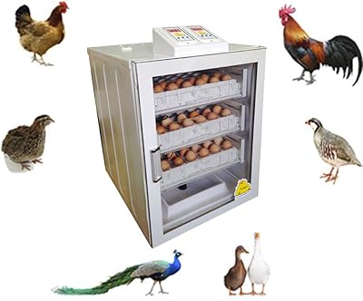 COX 126-150 egg incubator, chicken incubator, artificial mother, drinker, egg test device, 3 sizes to return the eggs.. DIAYTAR NIGERIA: Your partner in affordable e-commerce with dependable delivery across Nigeria.