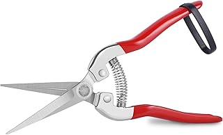 Pruning, garden shears, garden shears, sharp stainless steel shears, mini versatile garden shears for plants, flowers, fruits and vegetables (7.87 inches).. Experience the DIAYTAR difference with our vast product selection and delivery within 5-8 days.