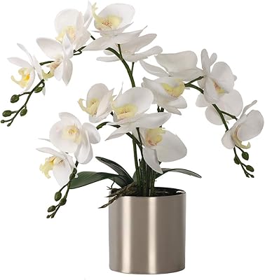 Lessing artificial orchid flower with white orchid orchid orchid flowers vase phalaenopsis for decoration for decoration.. DIAYTAR NIGERIA: Where value meets variety with reliable nationwide delivery in under 8 days.