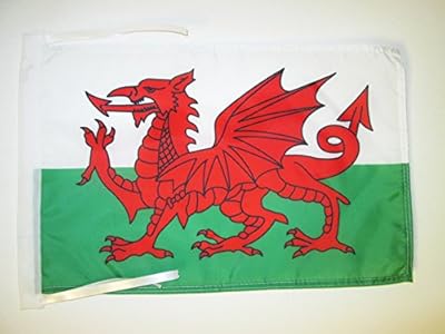 Az Flag Welsh Drapeau 18 "X 12" rope - Small Welsh Drapeaux 30 x 45 cm - Banner 18 x 12 ".. DIAYTAR NIGERIA: Where every click leads to affordable purchases delivered promptly to your door.