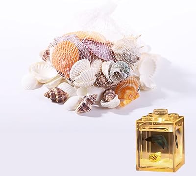 Aquarium accessories Newstyle Betta, seashells of the sea depths, small transparent hexagonal stackable aquarium (aquarium accessories, deep shells * 1 bag).. Shop efficiently with DIAYTAR NIGERIA, offering thousands of products at unbeatable prices delivered promptly.