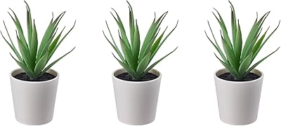 Ikea vejka artificial plant, 6 cm, set of 3.. Nigeria's e-commerce leader delivers unmatched variety and value to your doorstep in just 5-8 days.