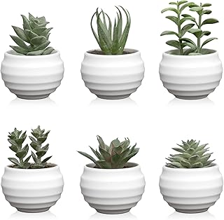 Murli Lot of 6 mini artificial succulents in pot for bedroom, living room, office, shelf and bathroom.. Experience budget-friendly shopping at DIAYTAR NIGERIA, Nigeria's premier online marketplace with quick delivery.