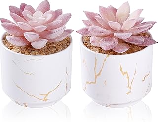 Zinida Nassara artificial plants False cute succulents in 2 ceramic pots.. DIAYTAR NIGERIA: Transforming online retail with affordable prices and consistent 5-8 day nationwide delivery.