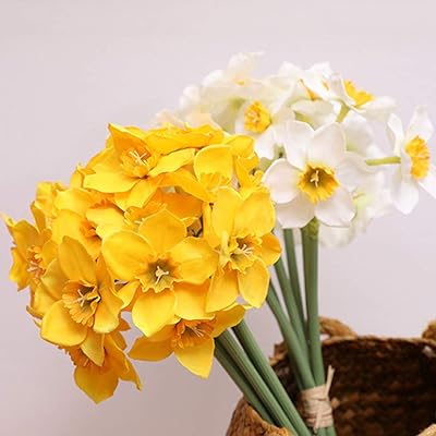 Denny BW 12 pieces artificial rods 15.7 "Artificial silk jaws for wedding party decoration wedding party office shop.. DIAYTAR NIGERIA: Your partner in affordable shopping with nationwide delivery in just 5-8 days.