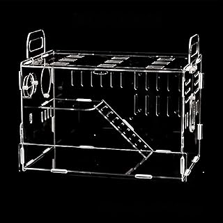 Intol Hamster Cage in transparent acrylic for small animals, for mice, squirrel, chinchilla.. Your comprehensive marketplace awaits at DIAYTAR NIGERIA with affordable prices and reliable delivery times.