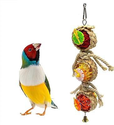 Cage toys with parrots, swing toys for birds with natural wooden pearl bells, wooden swing suspended for lovebirds.. DIAYTAR NIGERIA connects you with thousands of products at competitive prices, delivered within a week.
