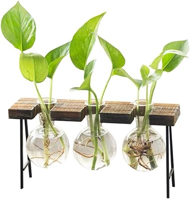 Iwinner office glass flower jar, 3 bulbs vase with small retro bench in solid wood for hydroponic plants, family garden and wedding decoration.. DIAYTAR NIGERIA: Redefining e-commerce with affordable prices and reliable nationwide shipping.