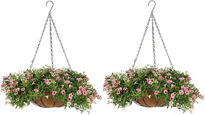NOBCIO 2 PIECES Hanging planted planted 30 cm, hanging baskets for plants, outdoor hanging with planter liners, garden decoration hanging basket with chain.. Navigate through thousands of products at pocket-friendly prices with DIAYTAR NIGERIA's easy-to-use platform.