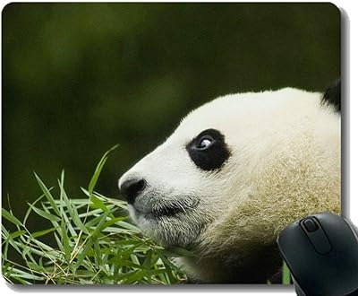 Flying Pig Men game mouse mat with sewn edge, professional animal panda, mouse mat, mouse of non -slip rubber for laptop, computer.. Shop for everything you need at DIAYTAR NIGERIA, with budget-friendly prices and quick delivery.