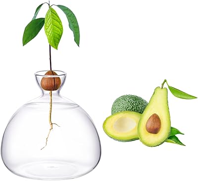 Avocative planting kit, avocado seed culture kit for beginners in gardening, glass vase, glass container, interior gardening gift for plant lovers, women and friends.. With DIAYTAR Nigeria, you can browse through thousands of items at the best prices. Place your order today and receive it in less than a week.