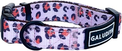Collar for dog Jalodia for small, medium and large dog dogs, fully adjustable, gentle, comfortable and breathable neoprene fabric - Wild Thing (Small).. DIAYTAR NIGERIA: Making online retail accessible to all with affordable nationwide shipping.