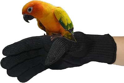 Back-Kitchen Protection Anti-Kitchen Bird Training Gloves Protection Level 5 Gloves Unders.. Experience retail therapy without the financial stress at DIAYTAR NIGERIA's affordable e-commerce platform.