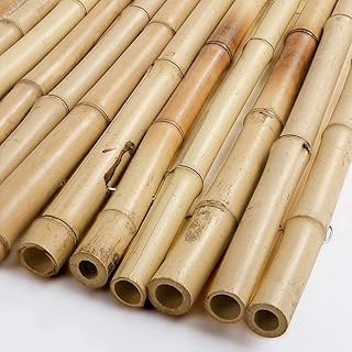 Makeup toy of Plant Bait Garden Bamboo Bamboo Stands Decorative Gardening.. DIAYTAR NIGERIA: Redefining e-commerce with affordable prices and reliable nationwide shipping.