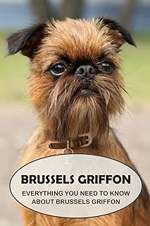 Griffon de Brussels: everything you need to know about the Brussels griffin: photos of the Brussels Griffon dog breed.. Shop smarter with DIAYTAR NIGERIA's vast product range and budget-friendly delivery within the week.
