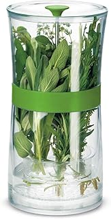 Container based on cosipro plants, size l, transparent.. Experience the DIAYTAR difference with our vast product selection and delivery within 5-8 days.