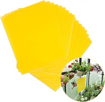 Amaid tight traps, package of 20 double -sided adhesive panels against insects, fruit traps of fruit, mushrooms and mosquitoes for the interior and exterior - 8 x 10 inches - twisted ties included.. No hidden costs, no long delays — just DIAYTAR Nigeria convenience.