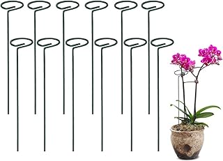 Express Shop Set of 12 support stakes for garden plants, simple garden support stakes to protect flowers, orchids, peonies, lilies, roses, sunflowers, small trees, tomatoes, amaryllis stems.. DIAYTAR NIGERIA combines affordability with convenience, delivering your purchases within 5-8 days.