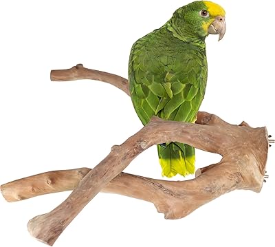 Large java wooden bird support for bird parrot.. DIAYTAR NIGERIA combines extensive product options with budget-friendly prices, delivered in 5-8 days.
