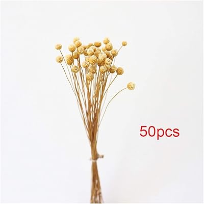 Natural dried flowers dried eucalyptus leaf actual branch.. Experience retail convenience with DIAYTAR NIGERIA's comprehensive platform and 5-8 day nationwide shipping.