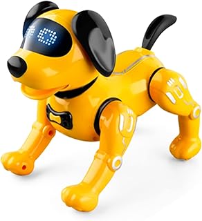 Haimao R19 remote -controlled robot, programmable electronic toy for dogs and pets.. Experience shopping satisfaction with DIAYTAR NIGERIA's vast selection and nationwide delivery service.
