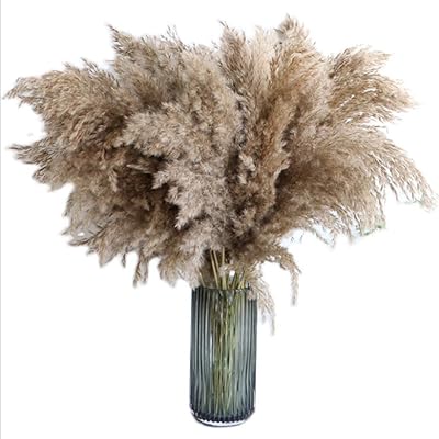 Shiwu Big Pampas Grass - 20 rods 60 cm, Large Natural Pampa grass. Bouquet of dried pampe flowers for wedding festival decoration, natural plants.. Shop without limits at DIAYTAR NIGERIA and receive your purchases at budget prices within the week.
