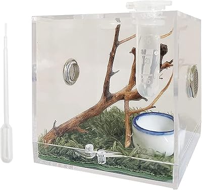 Spiders' breeding tank, Acrylic reptile breeding box with tweezers for Tarentula, Scorpion, Tarentule, Scorpion, Isopods, Invertebrates, Insects, Perrocketes, Snakes, Grolls.. With DIAYTAR Nigeria, your wishlist becomes reality, fast.