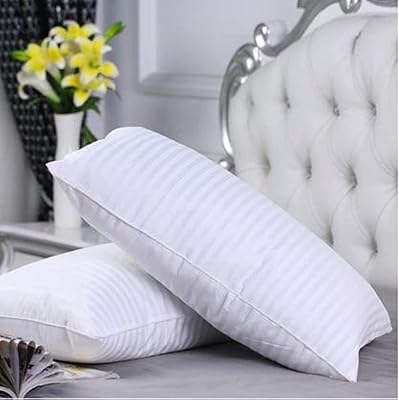 Ralph Aleph Ralph Pillow | Lot of 2 soft microfiber white.. Shop without limits at DIAYTAR NIGERIA and receive your purchases at budget prices within the week.