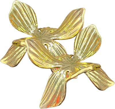 Stahad 2 pieces stone decor wooden display Decor for shelves Sphere Metal Applicoer ostrich egg egg display in golden metal metal ball support in metal ball in metal metal.. From daily needs to rare finds, DIAYTAR Nigeria brings it to your door.