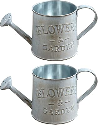 Decorative wrought iron decorative iron kettle, floral design watering pot, interior and exterior garden decoration (2 rooms).. Your shopping dreams realized through DIAYTAR NIGERIA's affordable platform with reliable delivery times.