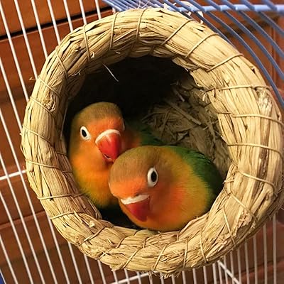 The White Shop Bird Nid Woven in Oil, Grass, Garden, Patio, Bathroom, Outdoor, Washable Bird Cage, (Color: 1 room).. Unlock access to a wide range of products with DIAYTAR NIGERIA's affordable e-commerce platform.