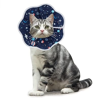 Cat recovery necklace, soft protective conical collar for pets, conical cotton conical adjustable for kittens and puppies, blue.. Nigeria's favorite online shopping platform, DIAYTAR offers unbeatable prices and delivery within a week.