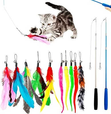 Pawpawyo interactive toys for cats, 12 pieces of feathers to caress the cat with 2 sticks of attraction and 10 accessories of bird feathers and worms, several pursuit toys for cats.. DIAYTAR NIGERIA makes quality accessible with low prices and reliable 5-8 day nationwide delivery.