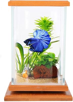 Betta rotary Betta Glass Creative Aquarium in.. Discover endless shopping possibilities at DIAYTAR NIGERIA, with budget-friendly prices and reliable delivery.