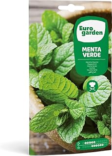 High quality European garden mint seeds (light green) made in Spain.. DIAYTAR NIGERIA: Nigeria's answer to affordable online shopping with reliable 5-8 day delivery guarantee.