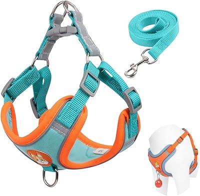 Beauty no sweater harness for small dogs adjustable harness with 2 clips of leash.. Discover a new way to shop with DIAYTAR NIGERIA's comprehensive marketplace and quick delivery options.
