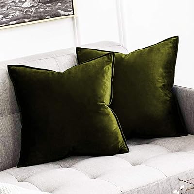 Kuti velvet decorative square cushion cover, cushion cover for single -seater single -seater sofa, modern colorful design 20 x 20 inches / 50 x 50 cm (color - mehandi) (lot of 2 rooms) C2.. DIAYTAR NIGERIA: Making online shopping accessible with affordable prices and nationwide delivery service.