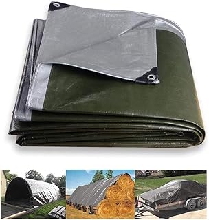 Robust tarpaulin 160 g/m2 Silver/green, waterproof and UV resistant, thick tarpaulin with reinforced eyelets and edges for protection (size: 3 x 6 m).. Easy checkout, quick delivery — shop now on DIAYTAR Nigeria.