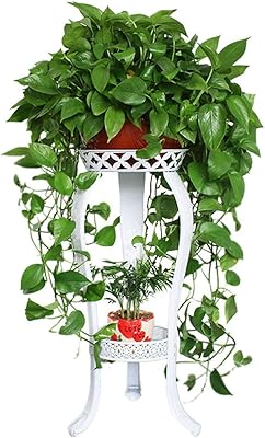 Support for plant metal plants, 2 -level flower display, interior flower plant support, iron plant holder, flower pot support for home office (white).. DIAYTAR NIGERIA: Transforming online retail with affordable prices and consistent 5-8 day nationwide delivery.