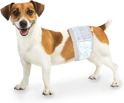 Disposable wraps for male dog Paws weekends 12 pieces size xs / s.. Discover the perfect balance of selection and value with DIAYTAR NIGERIA's nationwide e-commerce platform.