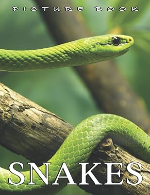 The photo of snakes: a collection of convincing photos of snakes like an excellent gift for adults and adolescents to relax and relieve stress.. Join the movement — fast, affordable shopping only at DIAYTAR Nigeria.