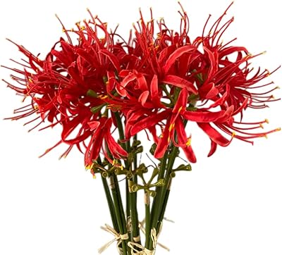 Zizi 5 rods of 23.6 inch artificial spider flowers, Lycoris artificial flower bulbs with long stem, real touch for photography and hotel garden decoration (red).. Order now, relax later — DIAYTAR Nigeria ships in 5 to 8 days.