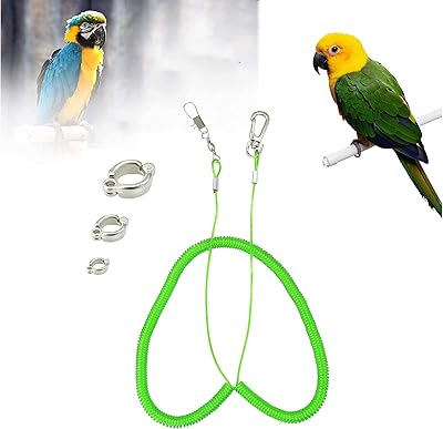 Flying rope for parrot, anti-bite training belt for birds, 6 m flying drive rope, pet supplies for African gray Aras with 3 rings of parrot parrot.. Discover the joy of choice with DIAYTAR NIGERIA's extensive selection and budget-friendly shipping.