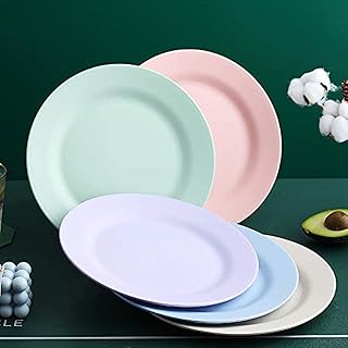 Set of 5 light flat plates of 11 inch, unbalanceable wheat straw plates, washable in the dishwasher and in the microwave-reusable, non-toxic, environmentally friendly and without BPA, healthy for children and adults.. Discover a world of choices with DIAYTAR NIGERIA's extensive marketplace and prompt shipping service.
