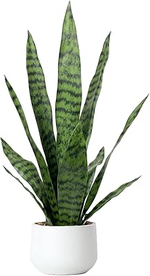 Artificial snake plant 22.5 "False SansEVIERIA plant for indoor and outdoor plants, home office (white pot).. Your complete shopping solution, DIAYTAR NIGERIA offers extensive choice with competitive prices and delivery.