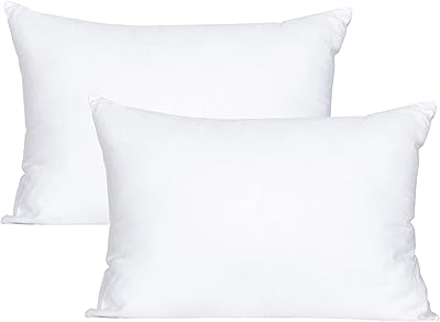 Cotton replacement pillows for toddlers, ultra soft and breathable baby pillows to sleep in a travel cradle (13 x 18 inch, 2) package).. Find more for less — only on DIAYTAR Nigeria.